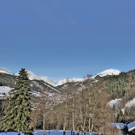 2 Pièces + Coin Nuit, 5 Pers, St Jean De Sixt - Fr-1-458-264 * Saint-Jean-de-Sixt